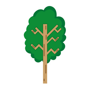 生态树枝带茎式矢量插图