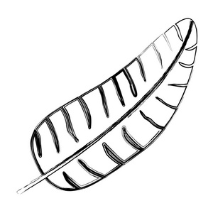 热带植物热带树枝叶式矢量插图