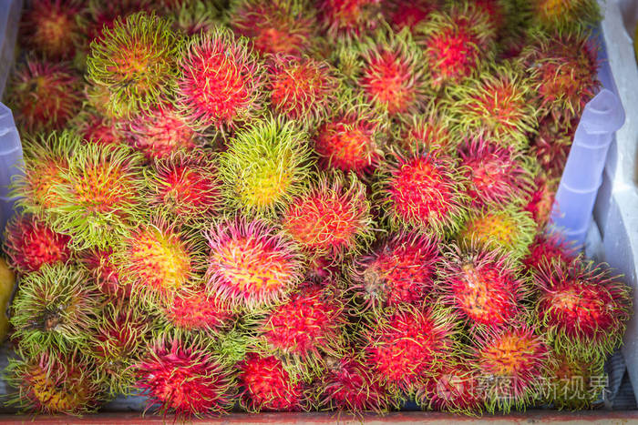 泰国当地市场上的新鲜红毛菜