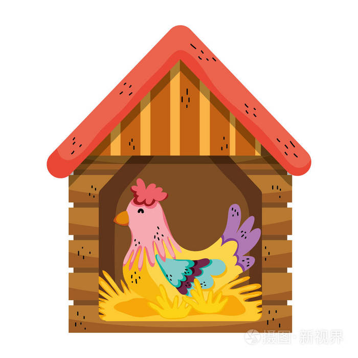 母鸡在家里下蛋鸡蛋矢量图