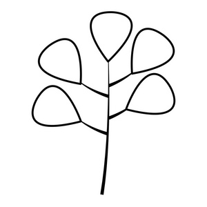 线枝植物奇异叶片样式插图图片