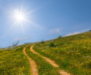 绿草如茵的山坡上，地面的道路在闪耀的阳光下