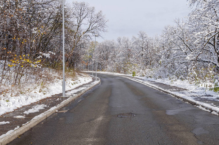 乡村柏油路，树覆盖着雪，天空自然的背景