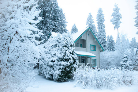 美丽的冬林和白雪覆盖的房子。 雪景中的松树和松树