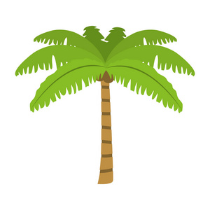 热带棕榈自然树风格插图
