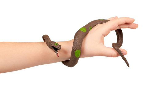 孩子们用假蛇玩具，橡胶动物做游戏。孤立于白色背景