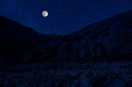 美丽的夜景与繁星点点的夜景山和森林..夜晚的森林，有绿色的草地和山脉，在明亮的星光夜或银河的景色