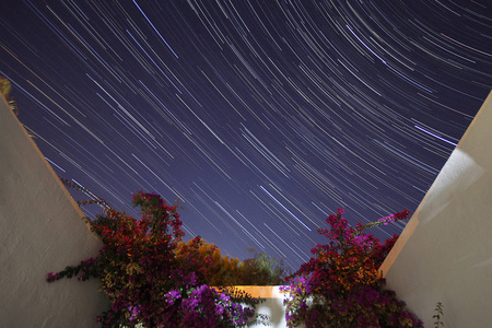 英仙座流星雨和星星