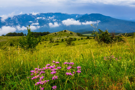 云中美丽的青山高原