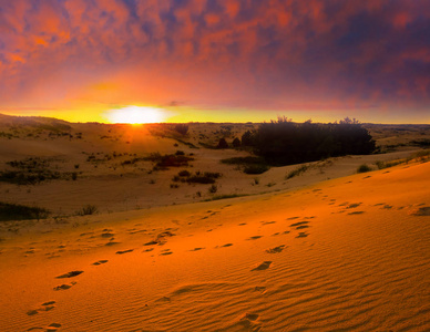 日落时的沙地沙漠景观