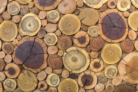 的实心天然生态软色棕色和黄色树桩背景树切割不同大小的垫垫背景纹理