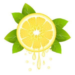 逼真的柠檬片, 有叶子和果汁。多汁的水果。新鲜柑橘设计在白色向量例证