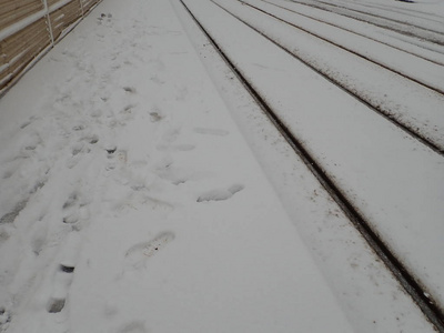 城市街道雪灾的细节