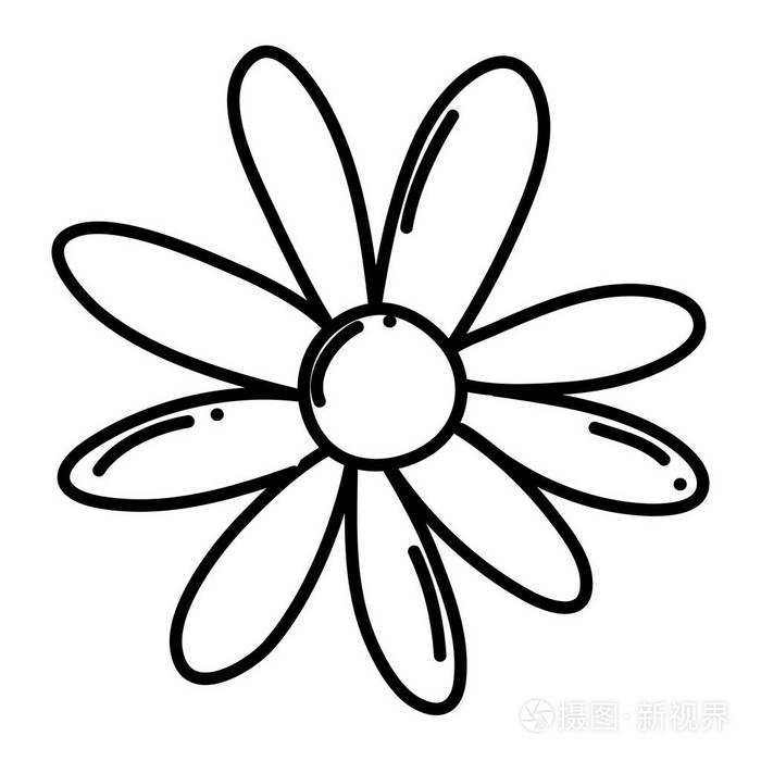 线条可爱的热带花异国花瓣矢量插图