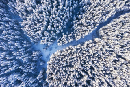 冬季道路和森林的鸟瞰图。 来自空气的自然冬季景观。 雪下的森林是冬天的时候。 无人机景观