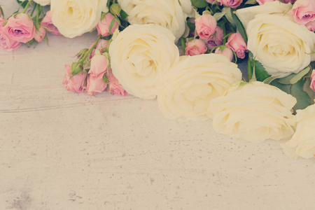 粉红色和白色盛开的玫瑰
