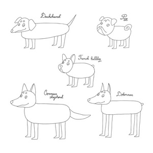 一套滑稽的卡通狗。在白色背景上绘制孤立对象。矢量插图。快速草图