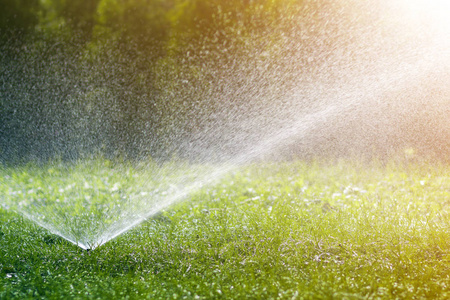 在炎热的夏日，草坪洒水喷头在花园或后院的草坪上喷洒水。 自动浇水设备，草坪维护，园艺和工具概念。