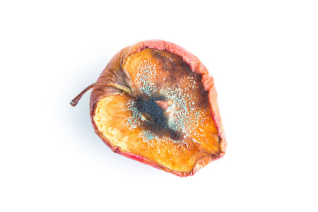 果实特写老皱的苹果,上面有蓝色的木板老腐烂的苹果在白色隔绝的背景