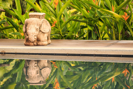 泰国热带花园豪华游泳池附近的大象雕像和影子