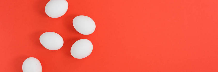 框架从一个创造性的布局白色鸡蛋的颜色的一年