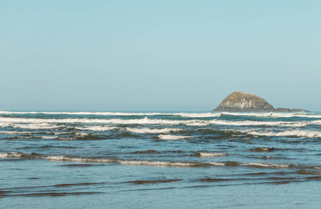 新西兰北岛奥克兰附近的泰亨加Bethells海滩海景和悬崖景观