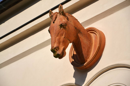 捷克稳定系绳墙上的马头雕塑图片