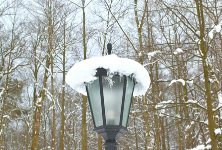公园里有白雪覆盖的灯笼
