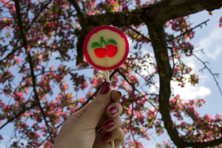 s hand against a blooming cherry tree background.