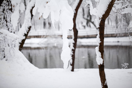 公园冬季景观详情图片
