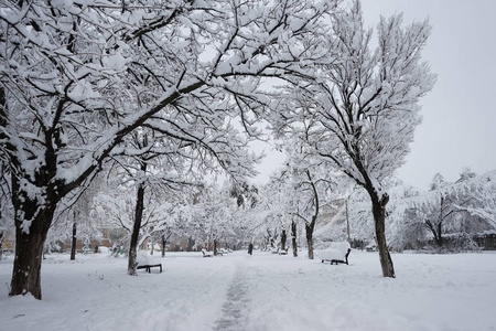 公园里的雪景