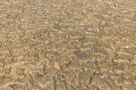 新西兰奥克兰北部岛屿附近皮哈海滩的图案沙子和水