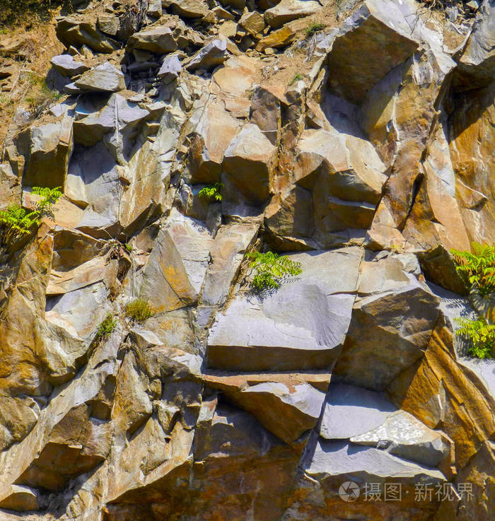 岩石破碎的背景或质地，由石头生长的小植物