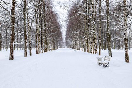 冬天的雪景。 寒冷的一天，公园里雪覆盖的小巷。 冬天在花园里散步。