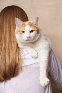 s shoulder. White cat on the shoulder of a blonde on a beige bac