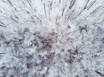 抽象的冬季景观从上面, 冰冻的树木和土地覆盖着雪, 顶部的鸟图