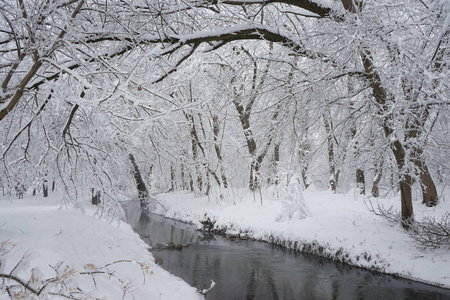 公园里的雪景