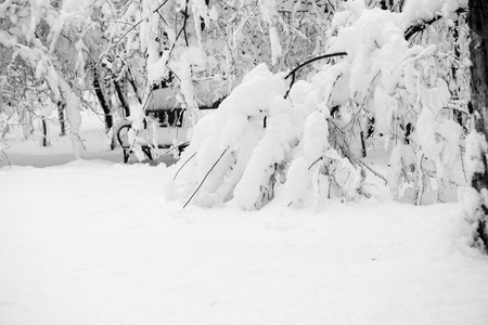 公园里的雪景