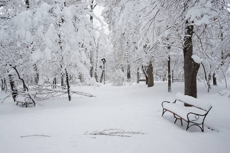 公园里的雪景