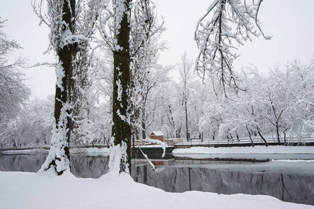 公园里的雪景