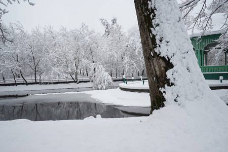 公园里的雪景