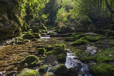 美丽的山溪，傍晚的阳光照亮了树木和苔藓的石头