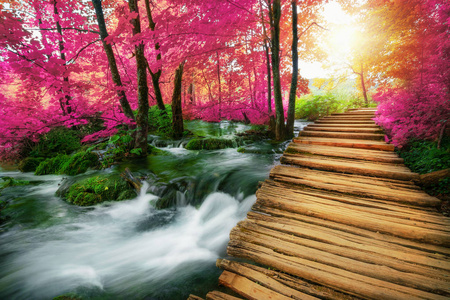 雨林木风壁纸图片