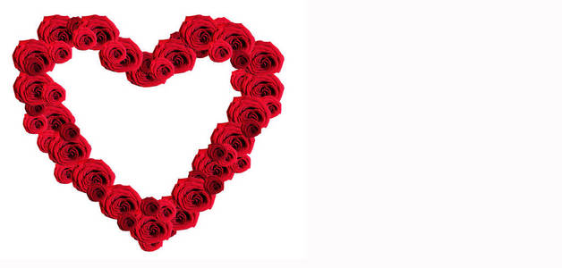 白色背景下浪漫美丽的红玫瑰心