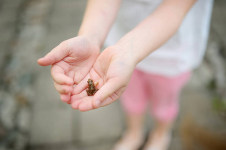 紧紧地抱着小青蛙的女孩照片