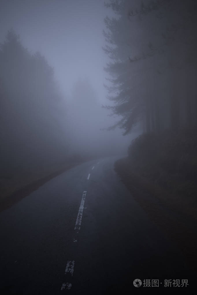 秋日或黄昏时分,雾蒙蒙的乡间小路在树林之间