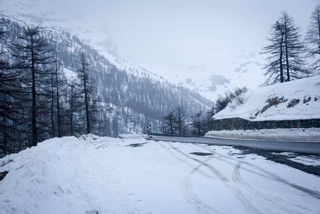 冰凉的弯弯曲曲的道路, 周围覆盖着雪和雪树