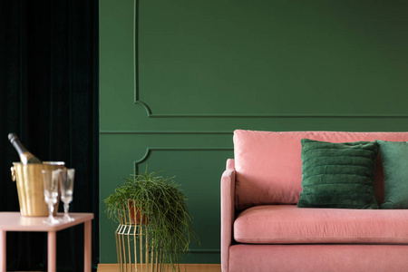 粉红色沙发旁边的花，在深绿色客厅的翡翠枕头，空墙上的室内复印空间