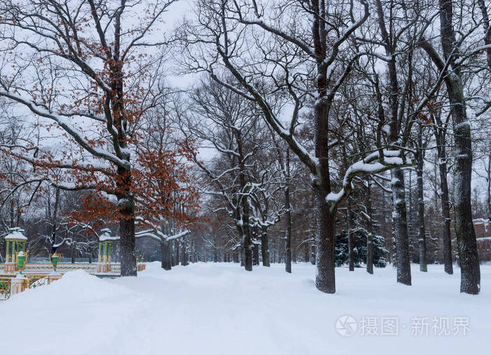 冬天的雪景。 雪覆盖的小巷，在一个寒冷的日子里，公园的两边有树。 冬天在花园里散步。