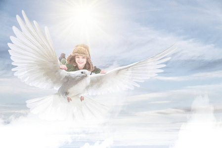 飞翔的翅膀图片